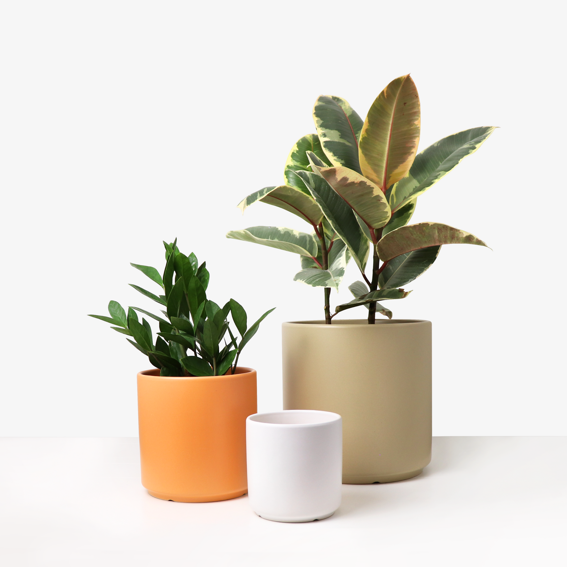 plant pot cylinder Ceramic Planter, Cylinder