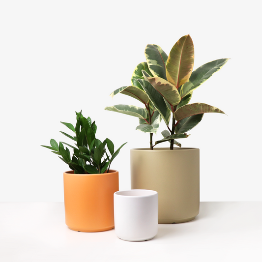 Ceramic Planter, Cylinder