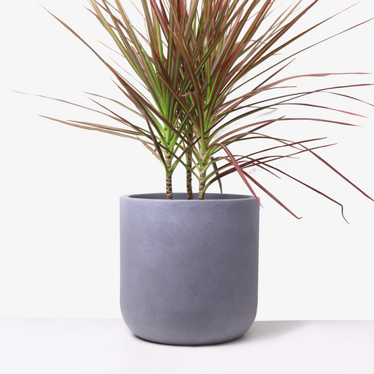 Fiberclay Planter, Cylinder