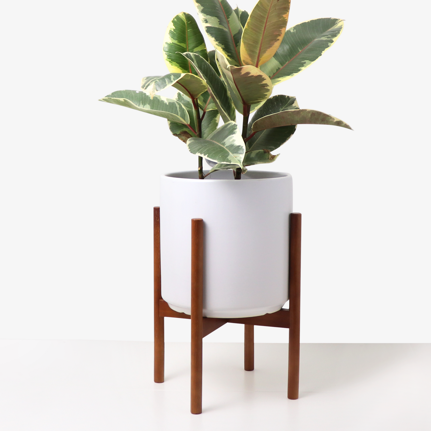 Wood Plant Stand