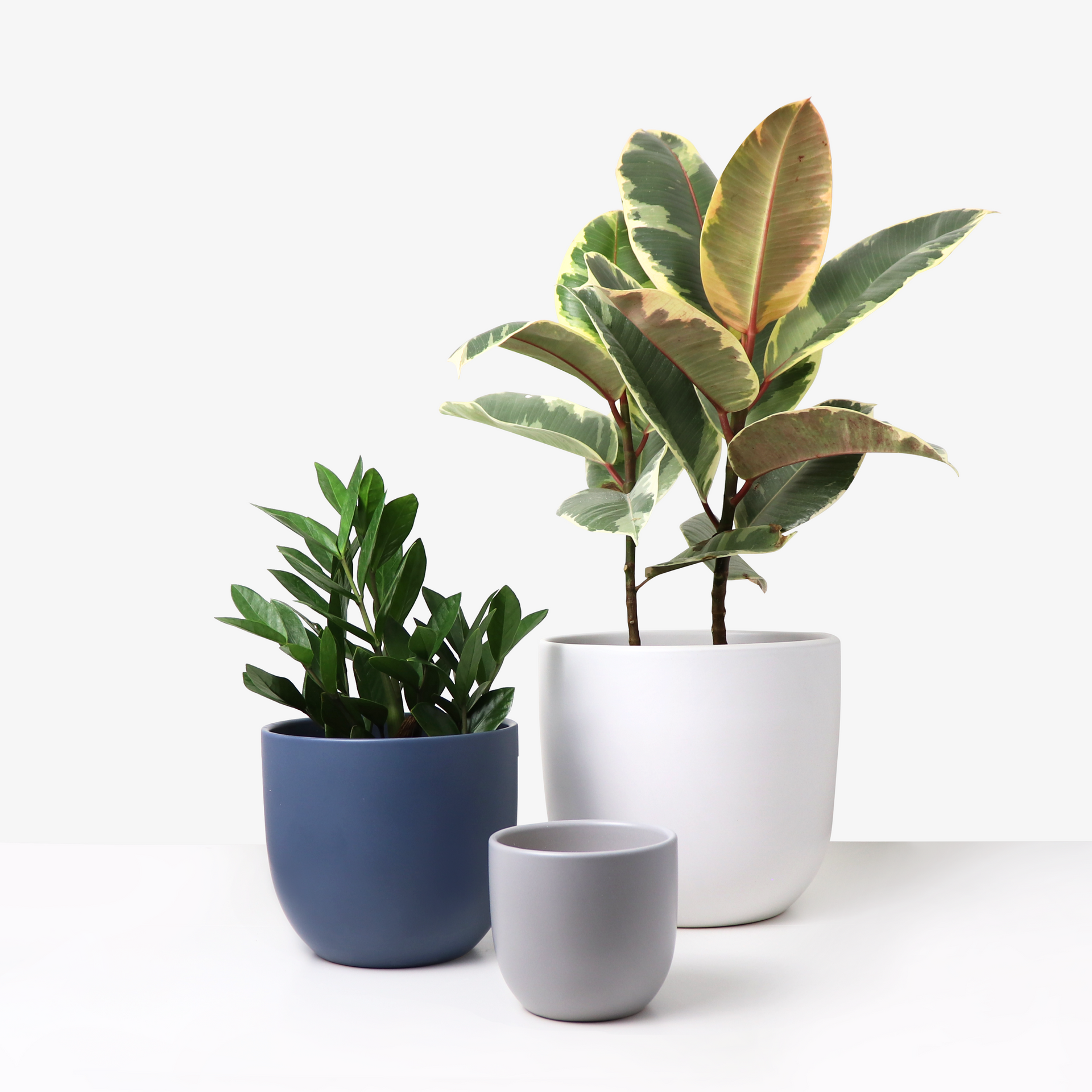 Ceramic Planter, Tapered – Matte Goods