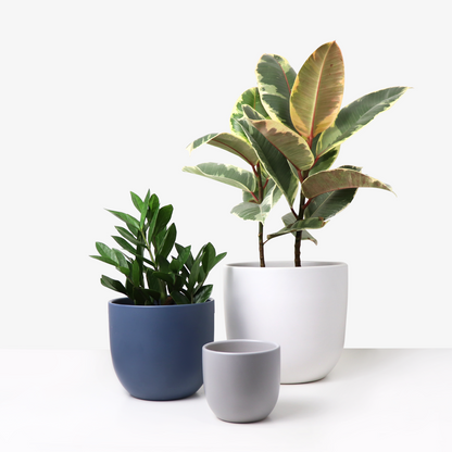 Ceramic Planter, Tapered