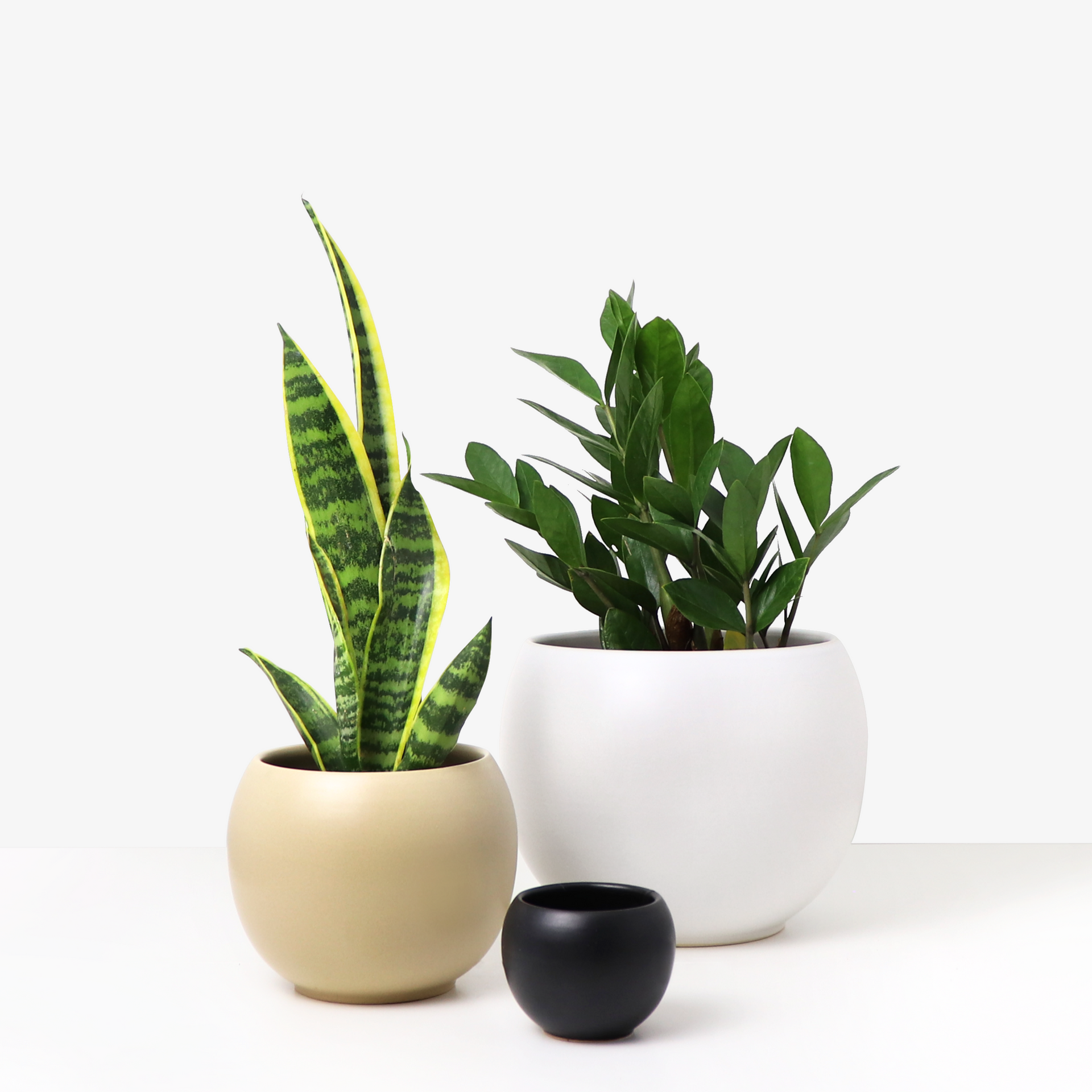 indoor planter ceramic Ceramic Planter, Sphere – Matte Goods