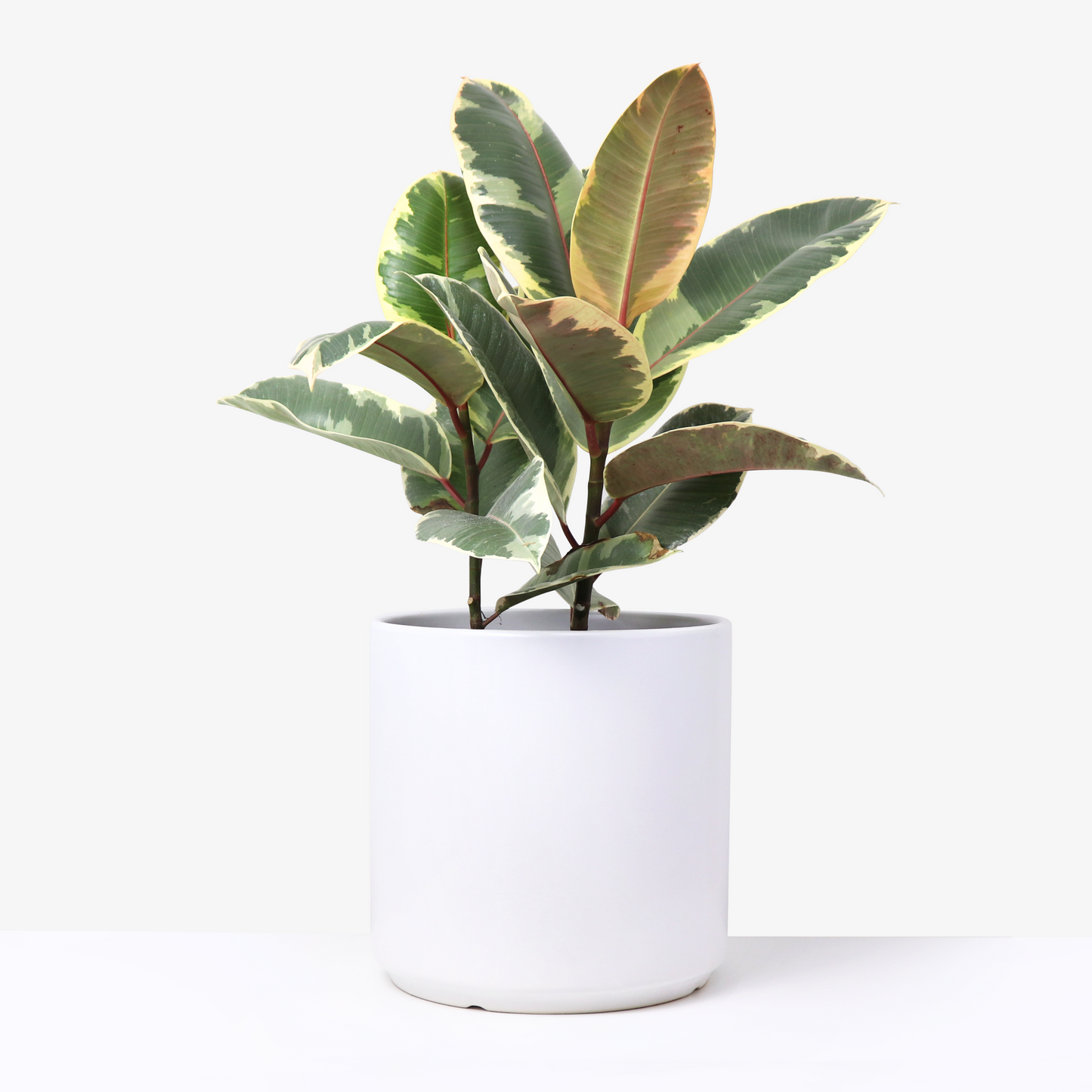 Ceramic Planter, Cylinder