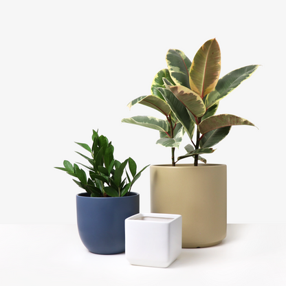 Ceramic Planter, Cube