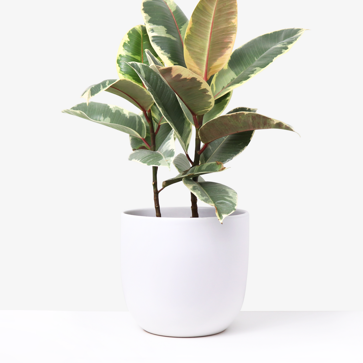 Ceramic Planter, Tapered