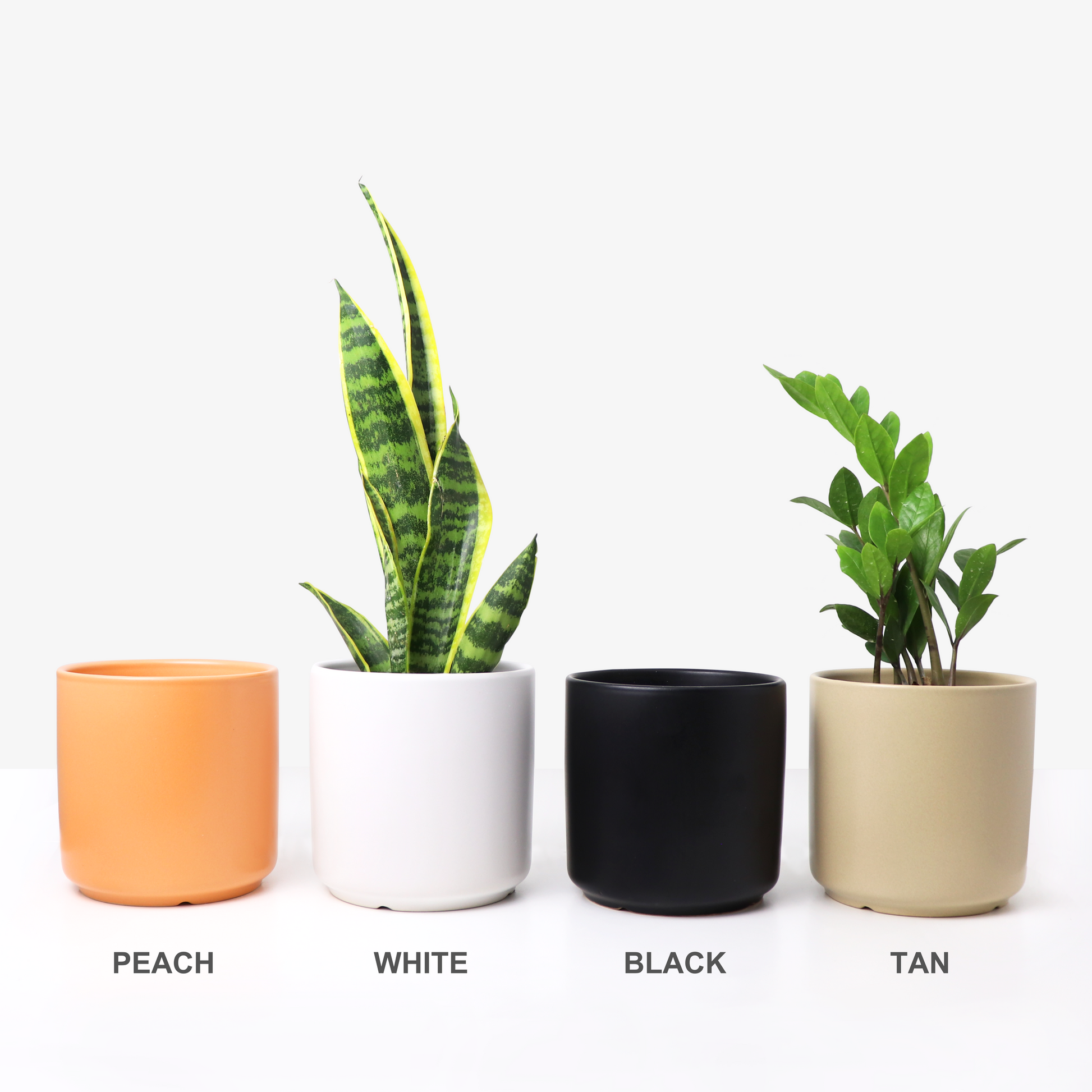 ceramic plant pots online Ceramic Planter, Cylinder