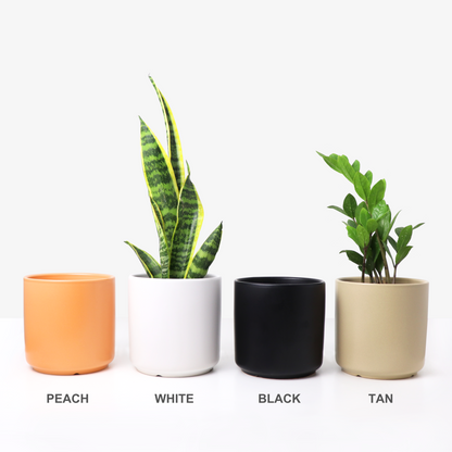 Ceramic Planter, Cylinder