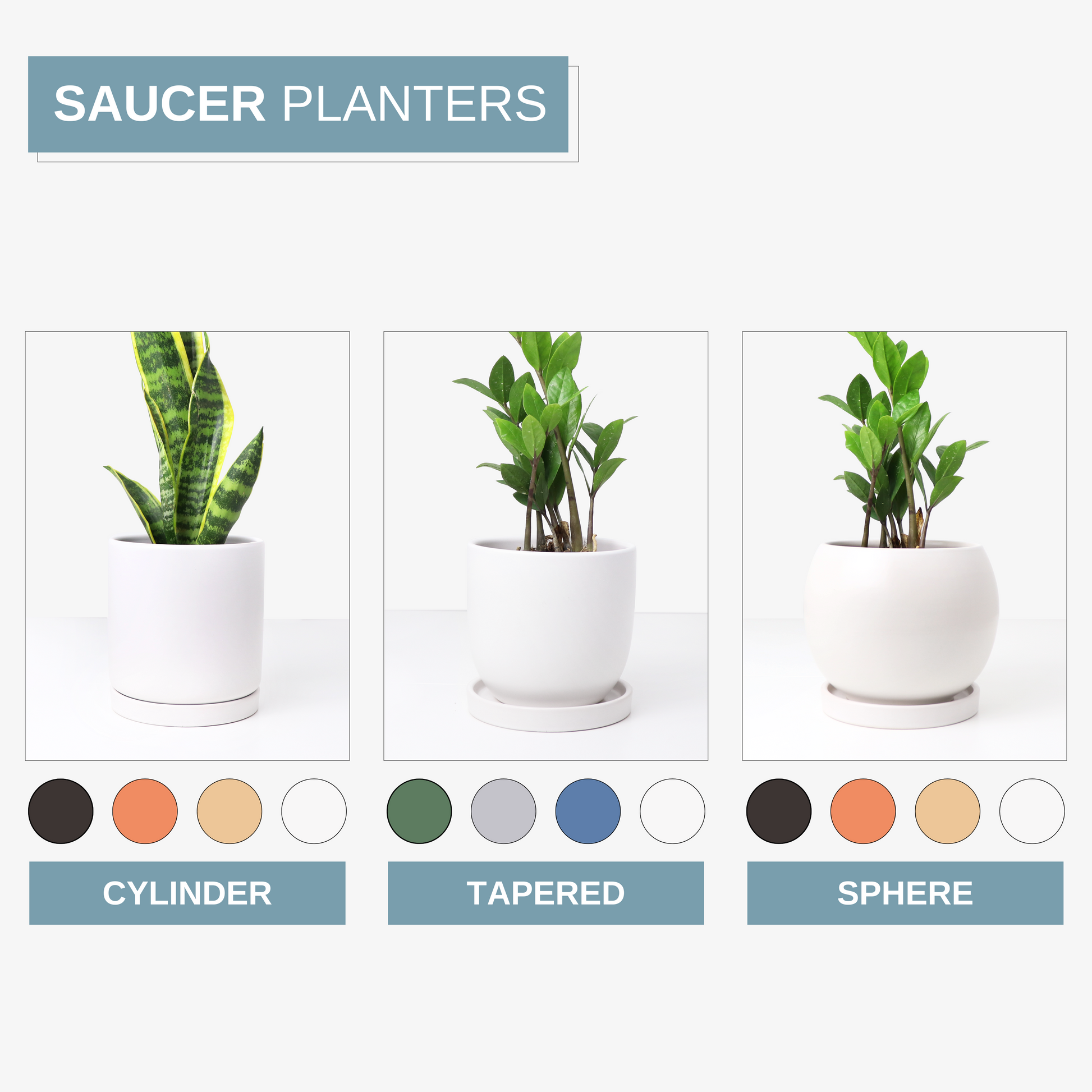 saucer for planter Ceramic Saucer, Round – Matte Goods