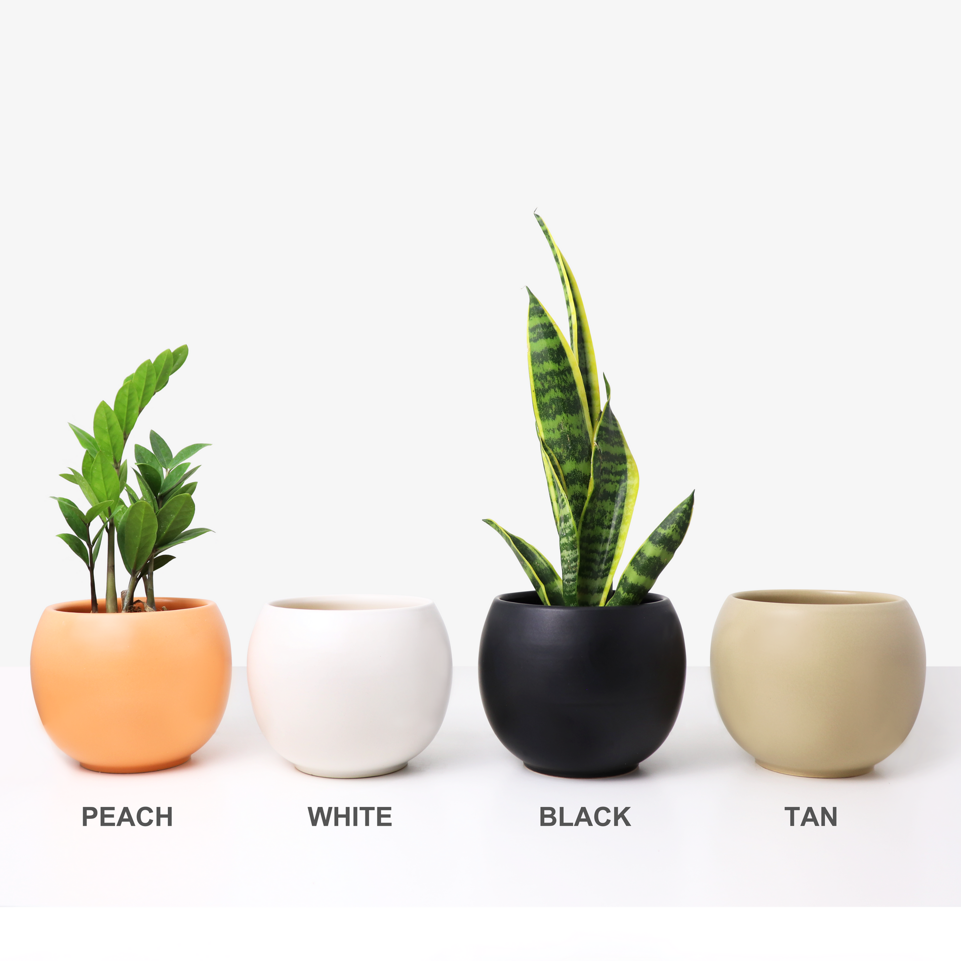 sphere indoor planter Ceramic Planter, Sphere – Matte Goods