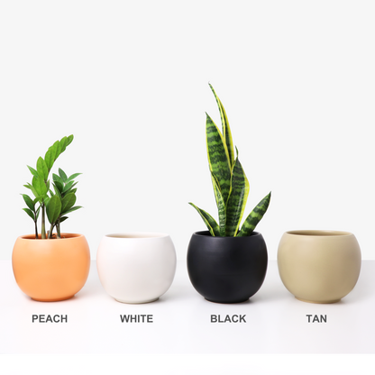 Ceramic Planter, Sphere